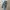 Stussy Streetwear Jeans Pria blue photo 4