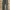 Old Navy Grunge Casual Pria Green