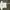 Fear of God ESSENTIALS Streetwear Casual T-shirt Pria white photo 2