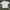 Fear of God ESSENTIALS Streetwear Casual T-shirt Pria white photo 1