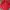 Tommy Hilfiger Casual Polo Shirt Pria Red