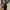 ZARA Luxury Casual Heels Wanita navy photo 4
