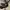 ZARA Luxury Casual Heels Wanita navy photo 6