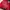Streetwear Y2K Hoody Pria red photo 1