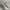 Onitsuka Tiger Minimalist Casual Sneakers Pria white photo 2