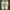 Nike Streetwear Sneakers Pria white photo 1