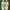 Nike Streetwear Sneakers Pria White