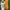 Nike Streetwear Sneakers Pria white photo 3