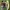 Nike Streetwear Sportswear Sneakers Pria brown photo 1