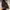 Charles and Keith Luxury Casual Heels Wanita brown photo 4