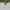 Casual Wanita navy gray photo 4