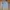 Champion Vintage Casual Hoody Pria gray photo 1