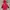 Marlboro Vintage Gorpcore Parka Pria Red Yellow