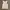 Casual Corset Wanita White