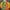 United Colors Of Benetton Vintage Y2K Polo Shirt Pria Multicolor