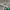 United Colors of Benetton Vintage Y2K Polo shirt Pria white green photo 4