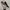 VANS Streetwear Sportswear Sneakers Pria white black photo 1