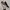 VANS Streetwear Sportswear Sneakers Pria White Black