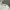 Sean John Streetwear Hoody Pria white photo 6