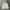 Sean John Streetwear Hoody Pria white photo 4
