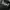 Gorpcore Sportswear Puffer jacket Pria black photo 3