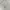Polham Minimalist Casual Sweatshirt Pria gray photo 5