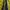 Outdoor Research Y2K Track jacket Pria yellow photo 8