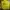 Outdoor Research Y2K Track jacket Pria yellow photo 2