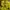 Outdoor Research Y2K Track jacket Pria yellow photo 4