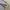 Nike Vintage Streetwear Sweater Pria gray photo 5