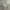 Nike Vintage Y2K T-shirt Pria gray photo 1