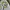 Nike Vintage Y2K T-shirt Pria gray photo 2