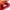 Stradivarius Casual Sneakers Wanita red photo 5