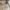 Carhartt Streetwear Y2K Bag Pria black photo 6