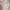 Lolita Coquette Kids white pink photo 4
