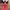 Crocs Minimalist Casual Sandals & slide Pria red photo 3