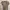 Bershka Casual Crop top Wanita multicolor photo 3