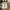 Nike Streetwear Minimalist Sneakers Pria cream photo 2