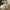 Nike Streetwear Minimalist Sneakers Pria cream photo 3