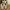 Nike Streetwear Minimalist Sneakers Pria cream photo 4