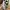 Crocs Streetwear Luxury Sandals & Slide Pria Khaki Gray