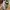 Crocs Streetwear Luxury Sandals & slide Pria khaki gray photo 2