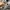 Crocs Streetwear Luxury Sandals & slide Pria khaki gray photo 7