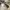 Crocs Streetwear Luxury Sandals & slide Pria khaki gray photo 5