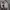 Asics Sportswear Sweatshirt Pria gray photo 7