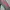 Asics Sportswear Sweatshirt Pria gray photo 8
