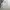 Dior Luxury Formal shirt Pria white photo 2