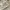 Converse Streetwear Casual Sneakers Wanita white yellow photo 4