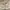 Converse Streetwear Casual Sneakers Wanita white yellow photo 5