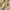 Converse Streetwear Casual Sneakers Wanita white yellow photo 2